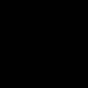 Meet your Posher, Jasmin